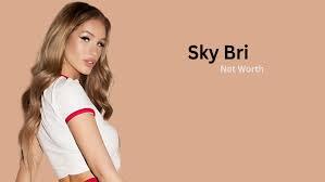 sky bri net worth